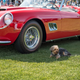 Illustration for article titled The Quail Is How The Fanciest People Do Car Shows